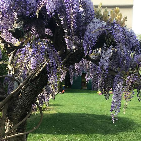 Villa Marlene B&B Albenga Kültér fotó