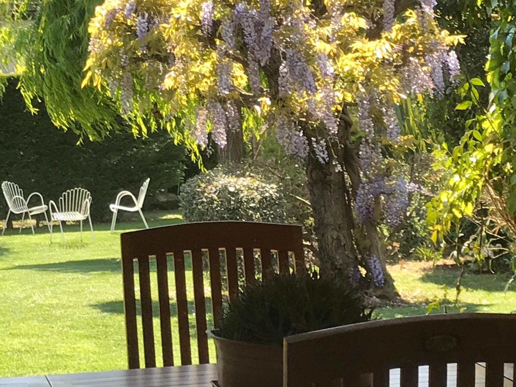 Villa Marlene B&B Albenga Kültér fotó