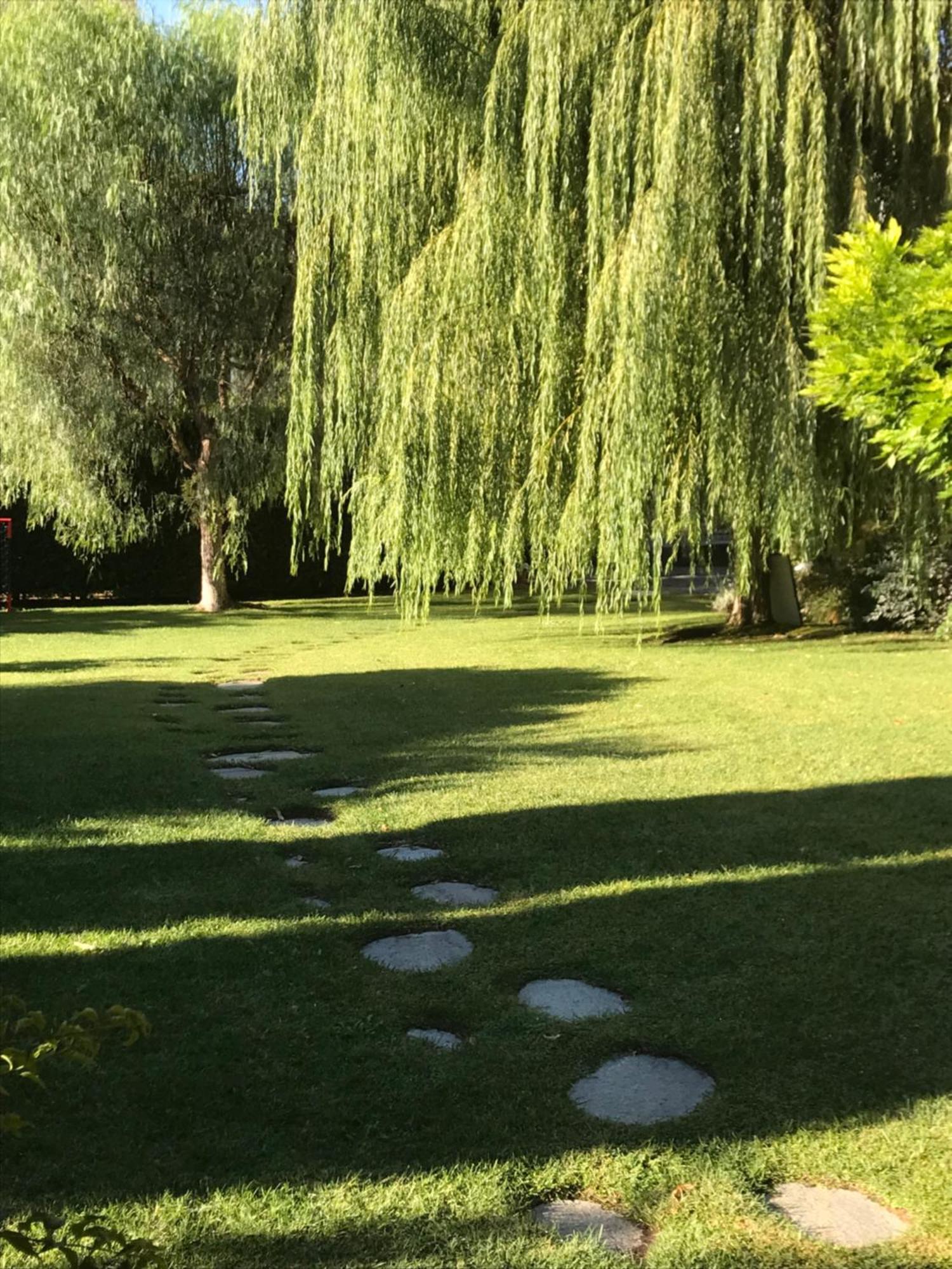 Villa Marlene B&B Albenga Kültér fotó
