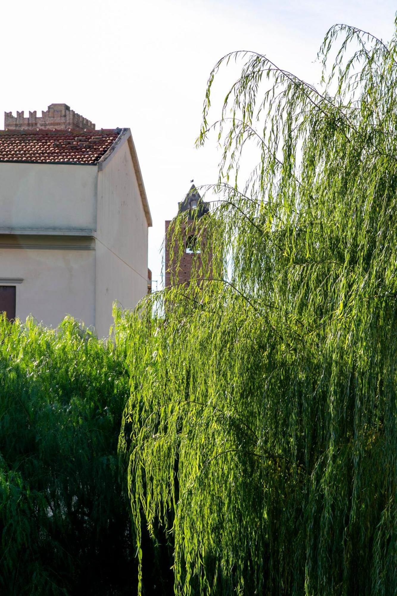 Villa Marlene B&B Albenga Kültér fotó